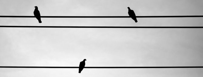 Mourning doves on wire for The Sound of Light